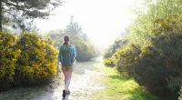 5 Best Beard Oil for Curly Beards 2024 Why Nature Walks Are Great For Mental Health
