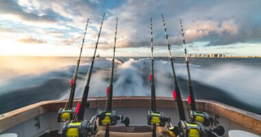 How Celebrities Can Avoid Tax Drama (But Often Don’t) 6 Pros and Cons of Using Plastic Worms for Bass Fishing