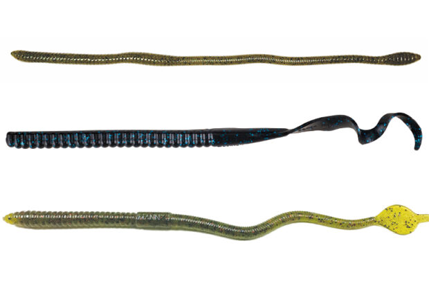 6 Pros and Cons of Using Plastic Worms for Bass Fishing 6 Pros and Cons of Using Plastic Worms for Bass Fishing