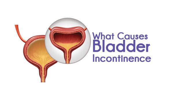 4 Tips for Living Well With Incontinence - Get Healthy Lifestyles