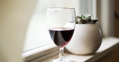The Ultimate Guide To Selecting Your Dinnerware! Is It Ok To Drink Red Wine On A Vegan Diet?