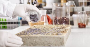 How Digital Casinos Are Changing Gambling Experience? Producing Ephedrine: What You Need to Know (2024)