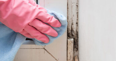 How Mold in Your Home Can Affect Your Daily Health and Well-being How to Improve Indoor Air Quality to Reduce Mold Allergies