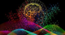 Neuroscience Validates the Core Principles