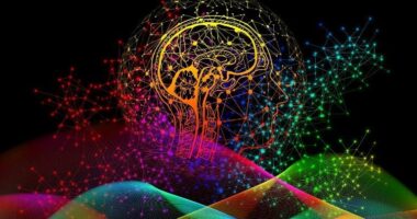 Which Spa Treatment Is Best For Your Face? How Neuroscience Validates the Core Principles of Manifestation and Energy Flow