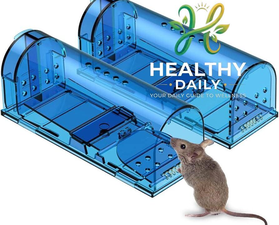 Cara Membasmi Tikus di Rumah Secara Aman untuk Memutus Rantai Hantavirus